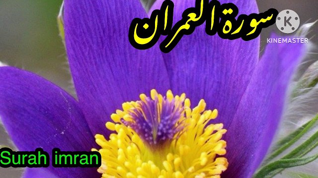 Surah Al Imran Fast Recitation Surah Al Imran Beautiful Recitation surah imran with english translation surah al imran with arabic text morning tilawat quran best voice surah al imran in which para quran recitation really beautiful