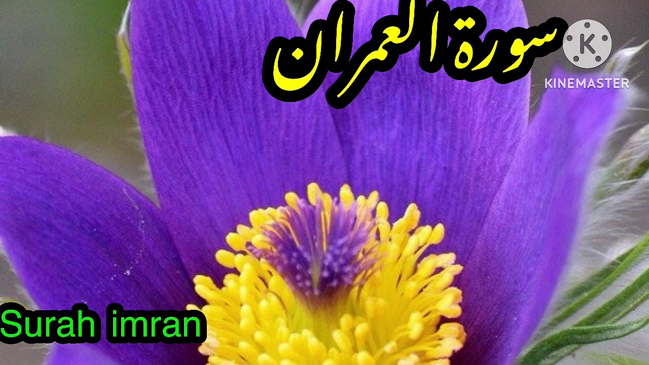 Surah Al Imran Fast Recitation Surah Al Imran Beautiful Recitation   surah imran with english translation surah al imran with arabic text morning tilawat quran best voice surah al imran in which para quran recitation really beautiful