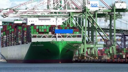 Elon Musk souhaite une "zone de libre-échange" entre l'Europe et les États-Unis