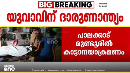 പാലക്കാട് മുണ്ടൂരിൽ യുവാവിനെ കാട്ടാന ചവിട്ടിക്കൊന്നു, ആക്രമണം വീട്ടിലേക്ക് പോകുന്നതിനിടെ