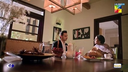 Qarz e Jaan - Episode 28  - 6th April 2025  - HUM TV