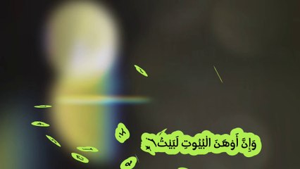 Amazing Scientific Facts about Spider in the Holy Quran