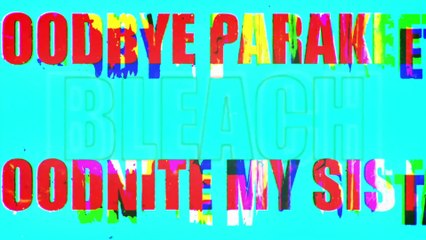 Test de Bleach Rebirth of Souls : Est-ce le grand retour de la licence tant attendu ?