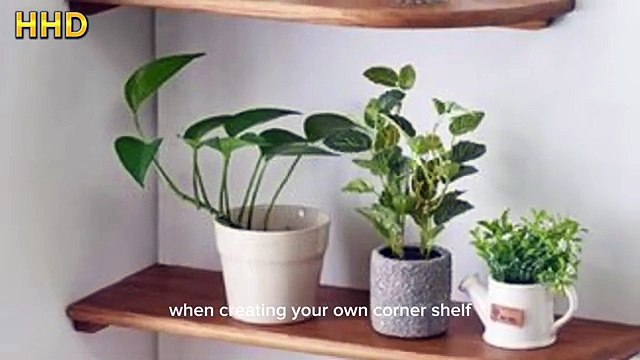 Corner Shelves For Walls Get Ideas & Decorate Empty Wall With Wooden Shelves _ Home Decoration Ideas