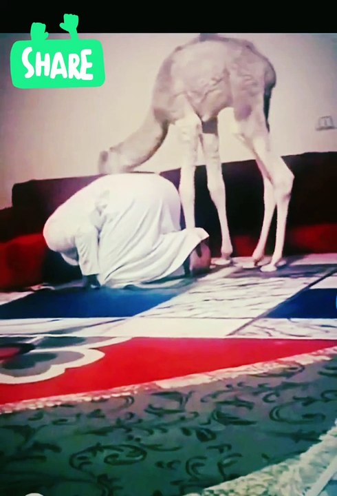Namaz qaim kren