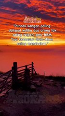 ✨Kata-Kata Mutiara Cinta Hari Ini☁✨