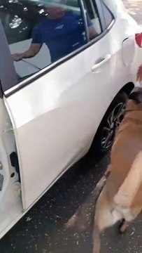 PRE apreende 32,5 quilos de cloridrato de cocaína escondidos em carro na PR-323 - 2