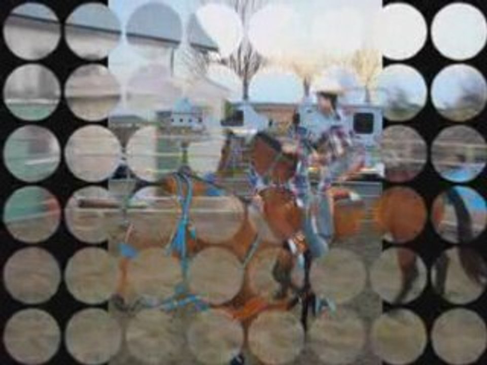 Lundi tropic_0001