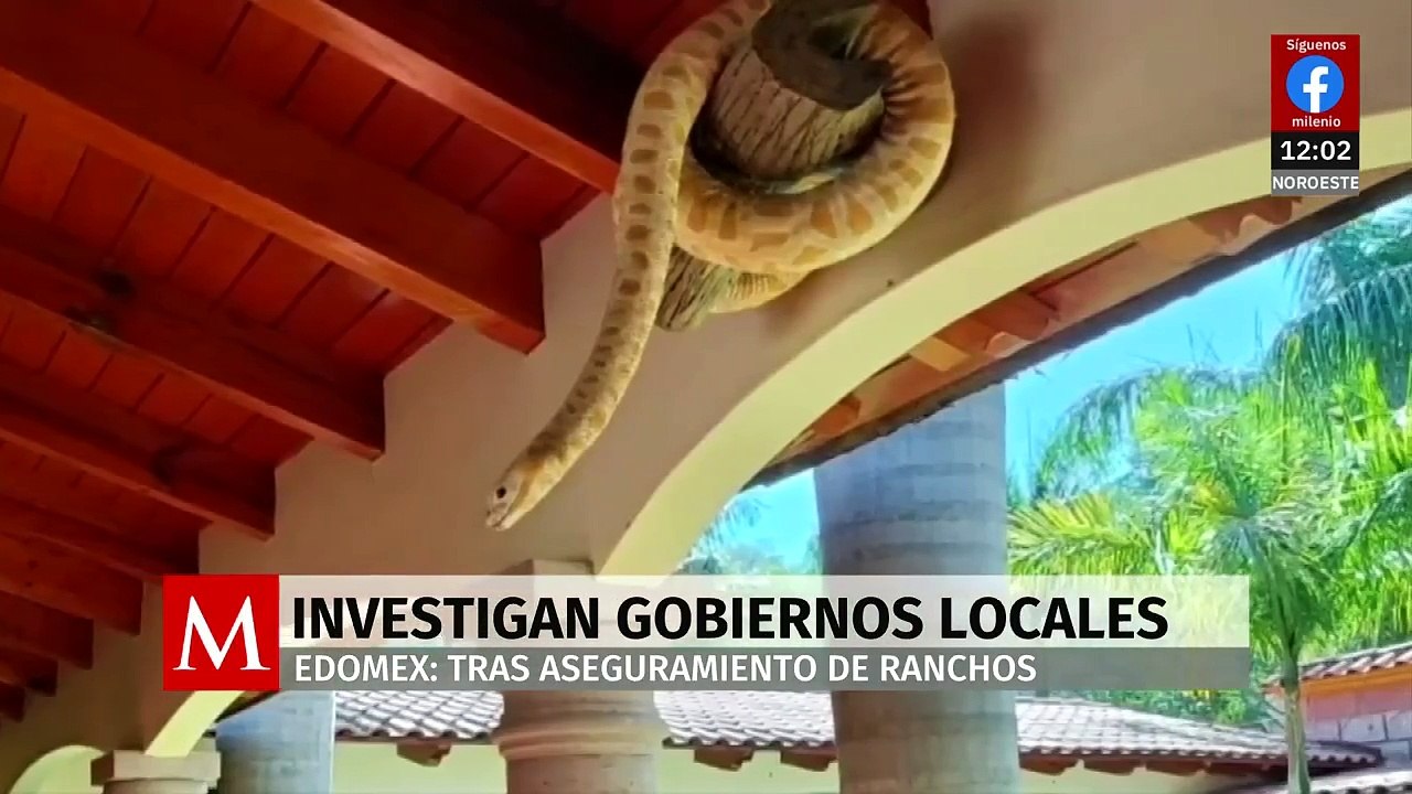 ‘Operativo Bastión’ revela nexos entre municipios de Edomex y la Familia Michoacana