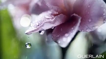 عطر Mon Guerlain الجديد، إشادة بالمرأة الحرّة!