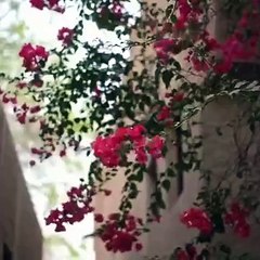 صفاء البال والأناقة يجتمعان في مجموعة YNM لخريف 2019