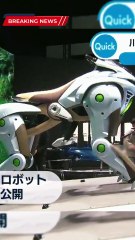 el caballo robot que puedes montar