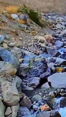 Contentment & Devotion: Lessons from Surah Taha 20:131-132   #SurahTaha