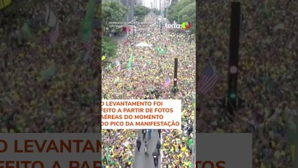 Ato de Jair Bolsonaro na Avenida Paulista reuniu 44,9 mil pessoas, diz monitor da USP #shorts