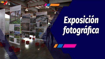 Guía Cultural | Ciudad Universitaria de Caracas: Patrimonio de la Humanidad en Recuperación