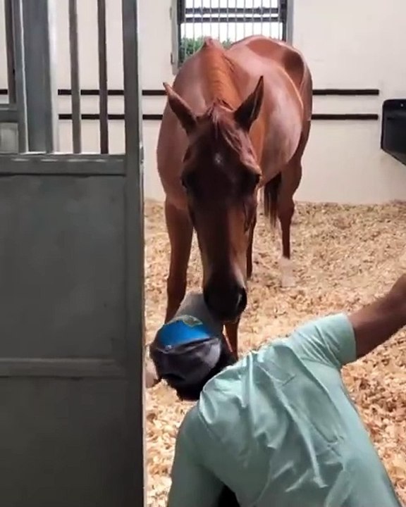 دبي تستعد لحفل زفاف تاريخي لأبناء الشيخ محمد بن راشد، إليكِ تفاصيله