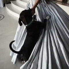 هل استعارت تايلور هيل قلادة أريانا غراندي لحفل Met Gala!