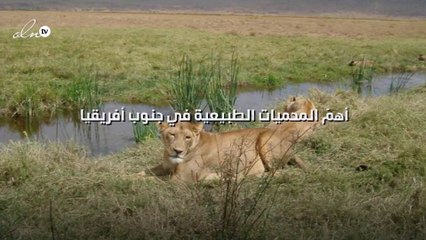 أهمّ المحميات الطبيعية في جنوب أفريقيا