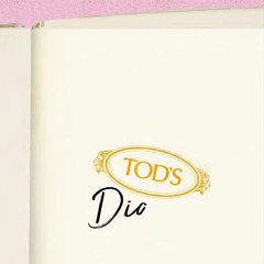 الفخامة العملية أعادتها إلينا Tod’s في حقيبة D Styling الجديدة