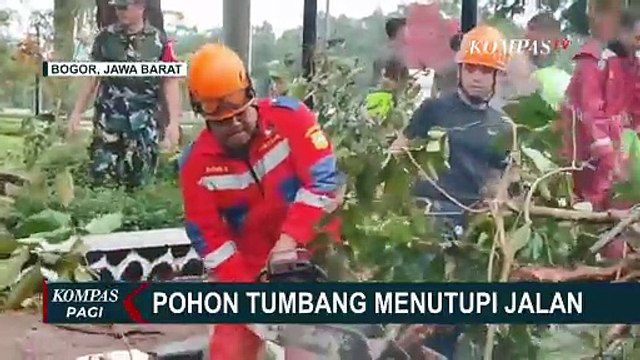 Hujan Deras Disertai Angin Kencang: Pohon Tumbang di Bogor, Banjir Rendam Jagakarsa dan Mampang