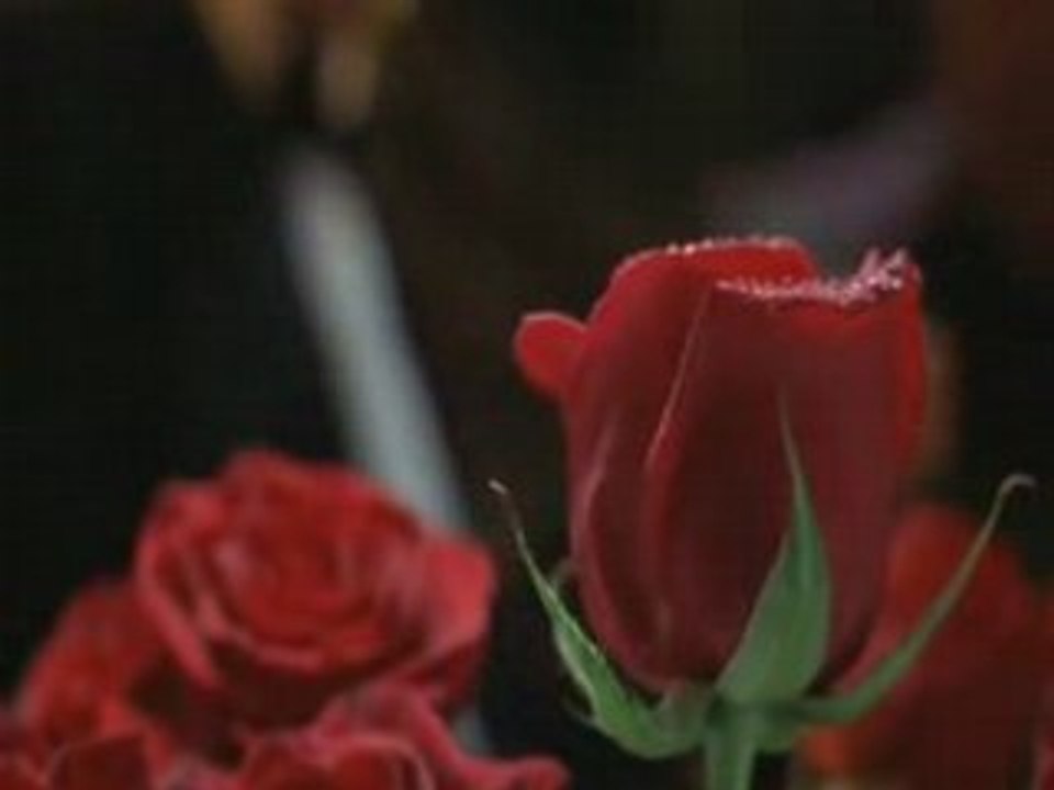 Shall We Dance-Book Of Love_mpeg2video
