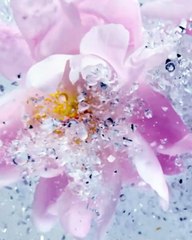 دعي عطر Mon Guerlain Sparkling Bouquet الجديد يعزز أنوثتك