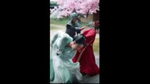Your Highness, your wife wants a divorce part 1