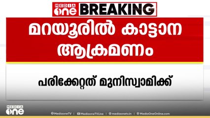ഇടുക്കി മറയൂരിൽ കാട്ടാനയെ കണ്ട് ഭയന്നോടിയ ആൾ  വീണ് പരിക്കേറ്റു