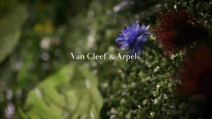 لأعياد نهاية العام، اخترنا لكِ مشابك استثنائية مستوحاة من حيوانات سفينة نوح