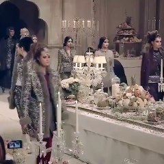 عائلة عارضة الأزياء الأيقونية ستيلا تينانت تؤكد انتحارها