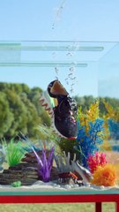 خيارنا لهذا الأسبوع: حذاء LoubiShark الرياضي من كريستيان لوبوتان