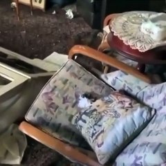 استمتعي بكلّ لحظة من الحياة مع إصدار La Vie est Belle الجديد