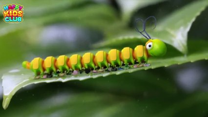 Kids story bedtime | Sweet rhyming bedtime story for kids | Caterpillar Shoes |