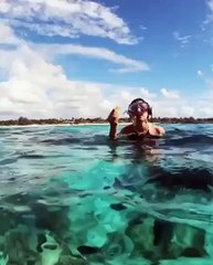 وجهتان للعطلات في المحيط الهندي تستعدان لاستقبالك بعد قضائهما على "كورونا"