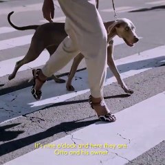 صوفيا فيرغارا تحمل حقائب دولتشي أند غابانا الجديدة