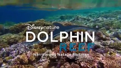 النُقّاد يهاجمون أداء ميغان ماركل في فيلم ديزني الجديد