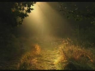 Една Голяма Любов