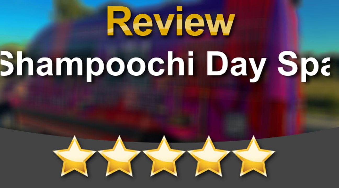 Shampoochi Day Spa Mobile Grooming 5 star Review.
