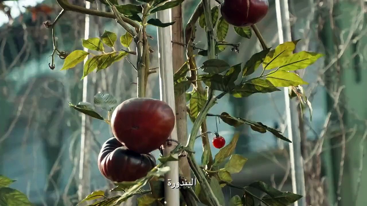 فاريل ويليامز يتحدث عن الهوت كوتور وذكرياته مع شانيل