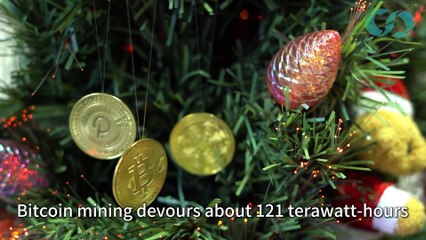 The Environmental Reckoning of Crypto: Why Bitcoin's Collapse Should Be a Wake-Up Call