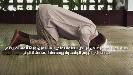 حكم صلاة الوتر