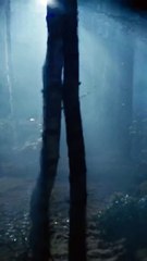 Louis Vuitton تطرح مجموعة فاريل ويليامز الأولى في أكثر من 50 متجرًا