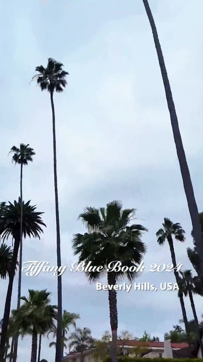 أبرزهم نانسي عجرم: مشاهير من العالم في حفل تيفاني أند كو في بيفرلي هيلز