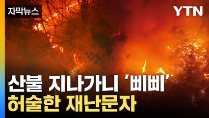 [자막뉴스] 불씨 빨라졌는데 문자만 남발...구멍 뚫린 산불 시스템 / YTN