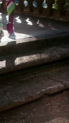 مجموعة جديدة تكسر الطابع التقليدي لأزياء اليوغا من بوتشي