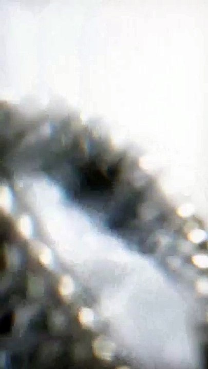 علامة ستيلا مكارتني تحت قيادة جديدة