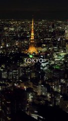 رد غير متوقع من غوتشي بعد تخريب نشطاء البيئة شجرة عيد الميلاد