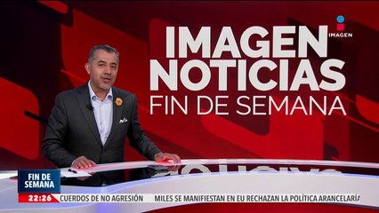 El Cristo Redentor de Brasil honra a los animales sin hogar