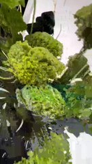 حوّلي منزلك إلى أرض Winter Wonderland مع باقات الورد الخلابة لعيد الميلاد