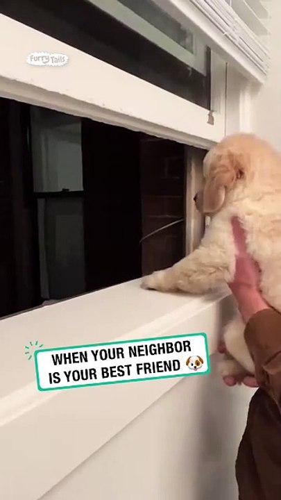 When your neighbour is your best friend